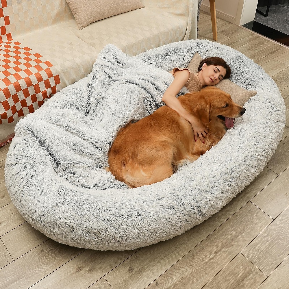 dog beds