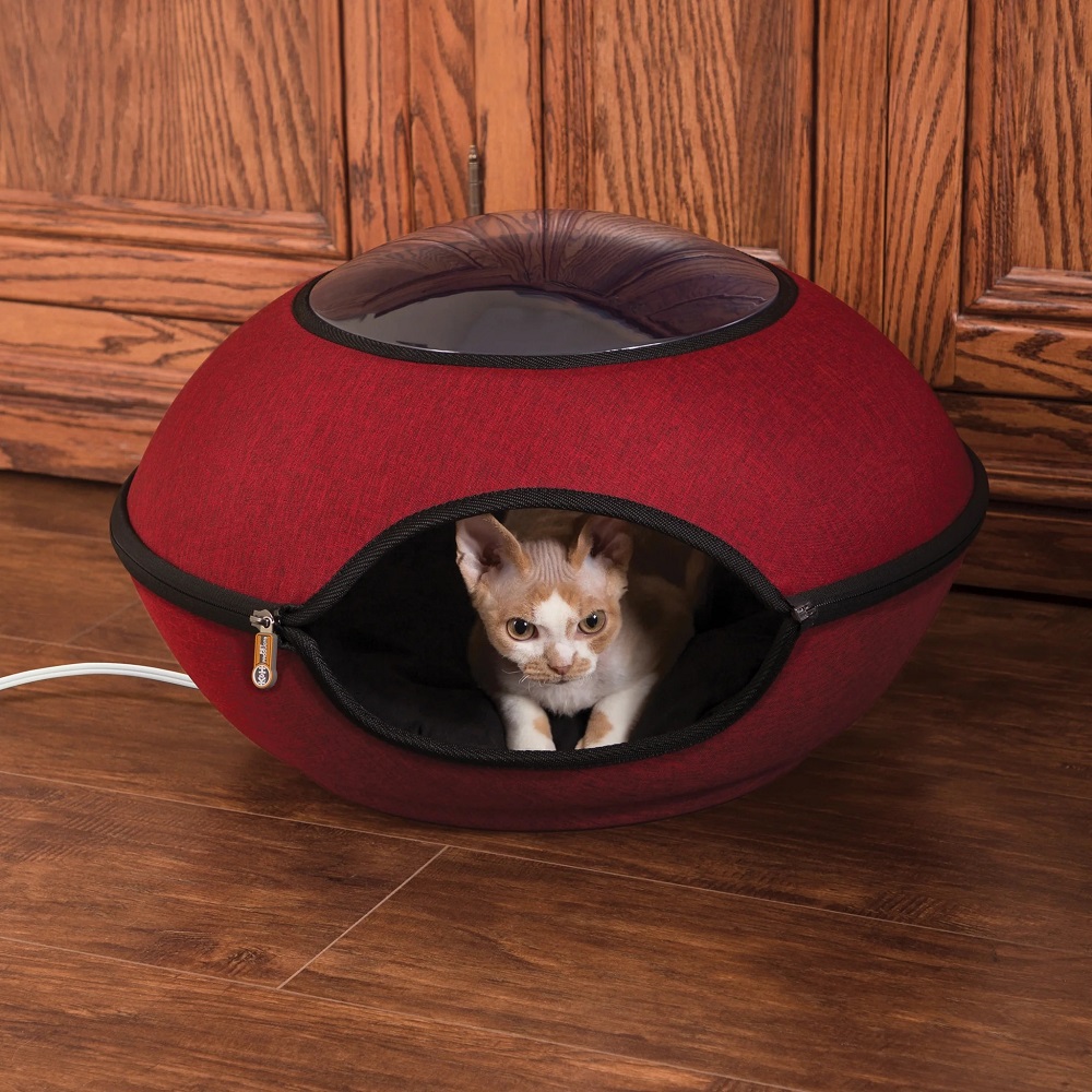 cat beds