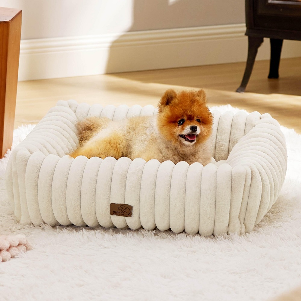 dog beds