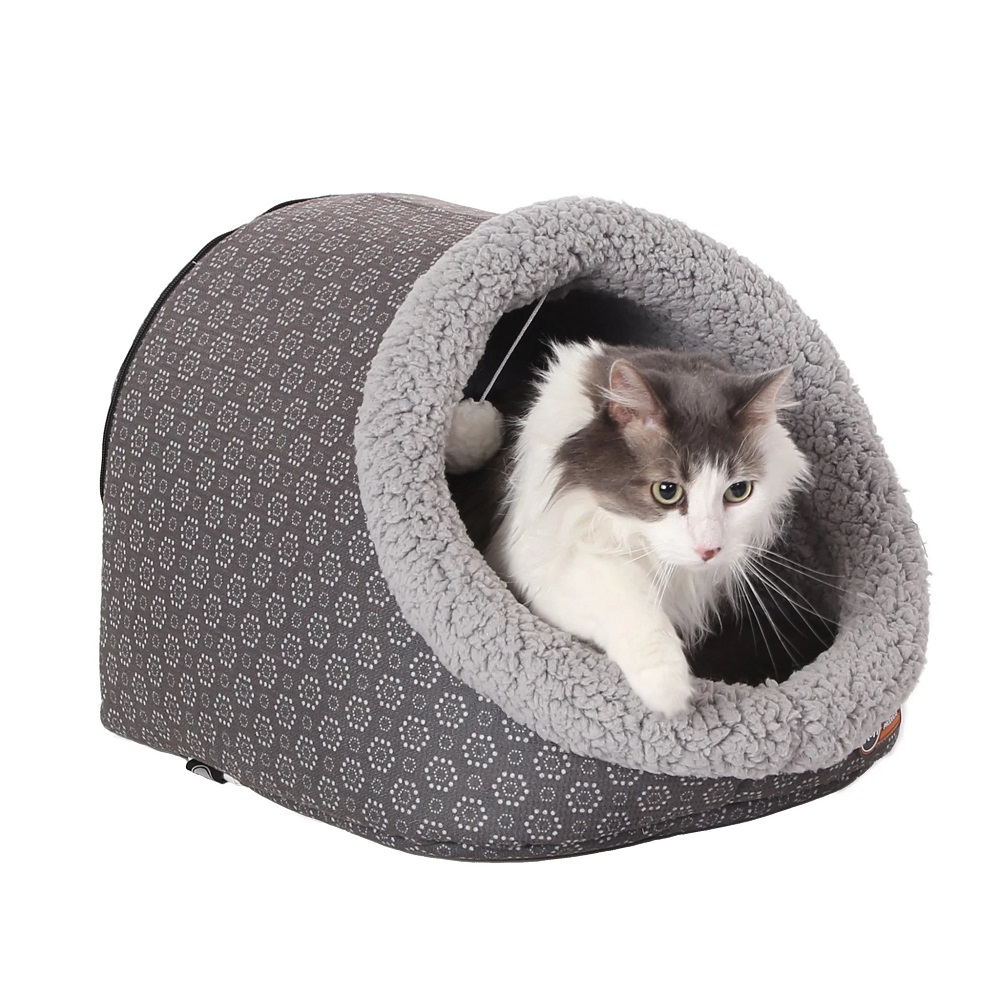 cat beds