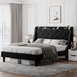 queen beds