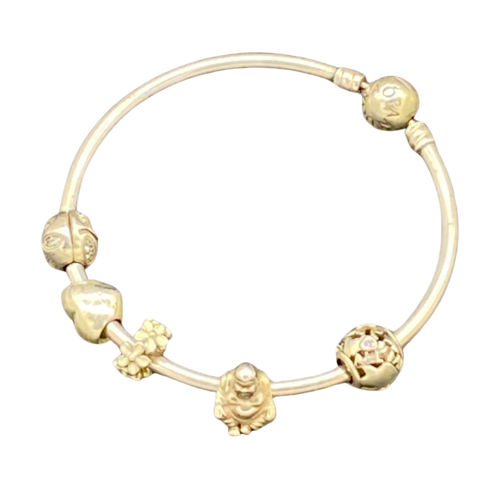 types of pandora bracelets
